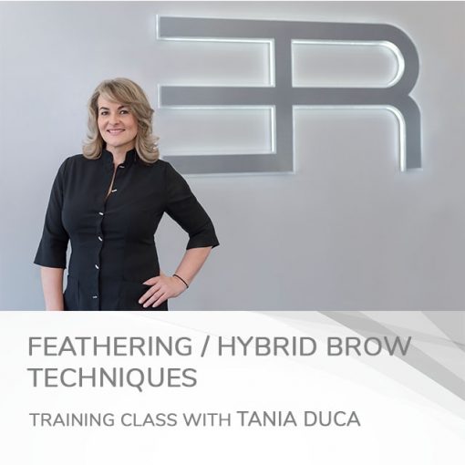 feathering hybrid brow techniques training course